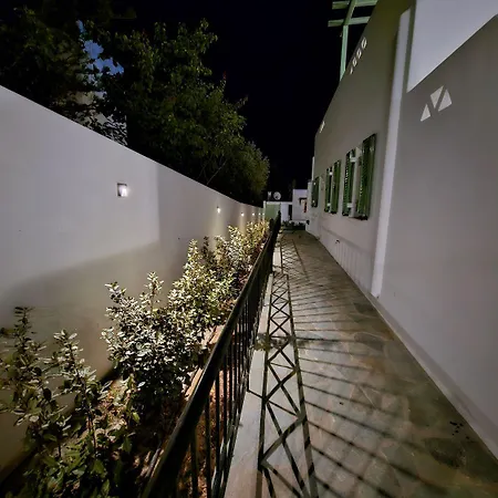 Elaeagnus - Gaia * Skyros